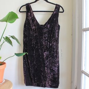 French Connection velvet mini dress